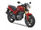 2010 Yuki 125 RS photo